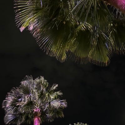 a7jjj_'s profile picture. أنتبه تعاتب اللي مايهمه رضاك.