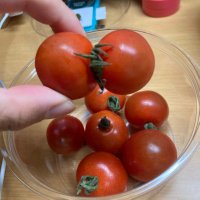 ゆうたろう (@tan90_2nd) 's Twitter Profile