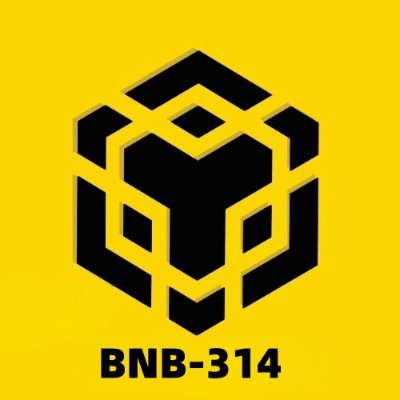 BNB-314全创新协议分红龙头🔥