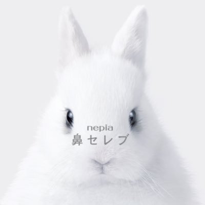 鼻セレブの公式アカウントです🐰鼻セレブの新商品やキャンペーンなどの情報をお届けします🐰2024年は鼻セレブ20周年を迎えるアニバーサリーイヤー🎉