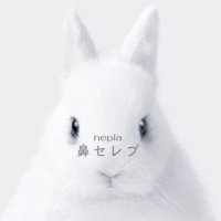 鼻セレブ 鼻セレブ洗顔専用 / ネピア(その他日用品・雑貨, 日用品・雑貨