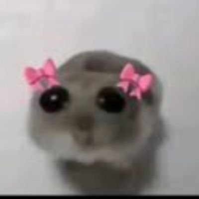 geilowest's profile picture. Jeune