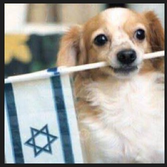 YisraelOfficial Profile Picture