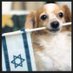 Yisrael official 🇮🇱 🎗 (@yisraelofficial) Twitter profile photo Yisrael official 🇮🇱 🎗 (@yisraelofficial) Twitter profile photo