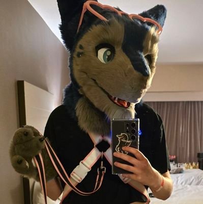 kingofserg's profile picture. any pronouns - 24 - 🏳️‍🌈 - wedge 🧀 - taken 💕🐱