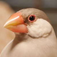 Iteka (@fly_bun_iteka) Twitter profile photo