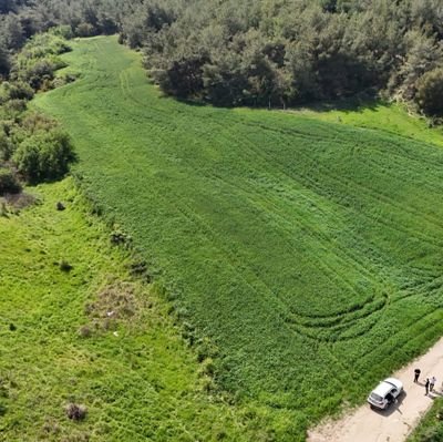 Bir zamanlar İş'inde Uzman'dı, 6 üniversite bitirmiş,  3 çocuk babası,375/35. madde mağduru