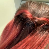 セカンドネッキ★★★★★ (@2nd_nekki) 's Twitter Profile