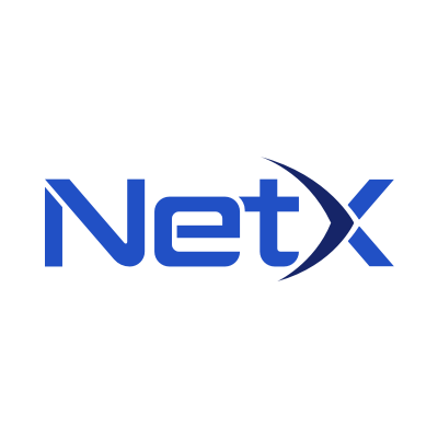 NetX:Shaping the Future of AI-driven Digital Living with a Data-centric Next-generation Internet.