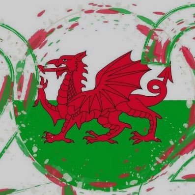 The Welsh Wallball Association Twitter page. Follow us for updates as we compete in Europe and develop our newly established team in Wales 🏴󠁧󠁢󠁷󠁬󠁳󠁿