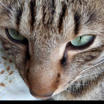 cp43h34xDR39143's profile picture. 