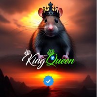 Rat - KinG 👑(@CodeCredit14671) 's Twitter Profile Photo