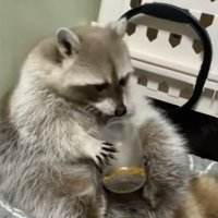 bernardkai007 (@ktanimation) 's Twitter Profile