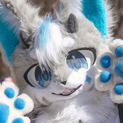 Fursuit / 2024. 3. 9 ~ 
/ Owner - @KENNIP_UWU / MAKER - @Whiten1310