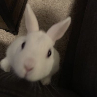 mmlonekim's profile picture. 