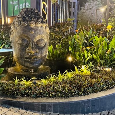 shreya2047's profile picture. 