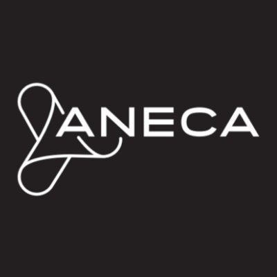 ANECAinfo_ Profile Picture