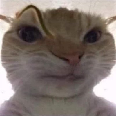 knompangさんのプロフィール画像