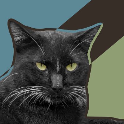 TheCatsTrill Profile Picture