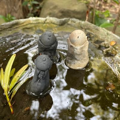 Yukstar4's profile picture. 将来は未定(←今ここ)。