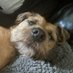 Barney W (@barneyw26) Twitter profile photo Barney W (@barneyw26) Twitter profile photo