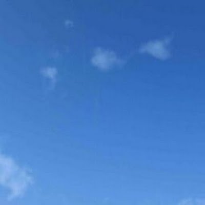 borowai62488's profile picture. 