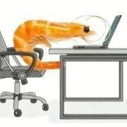 XXX1141137's profile picture. 