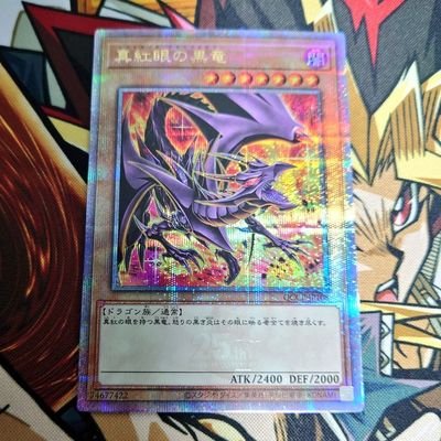 遊戯王コレクター
真紅眼がお気に入り
ARS鑑定が好き