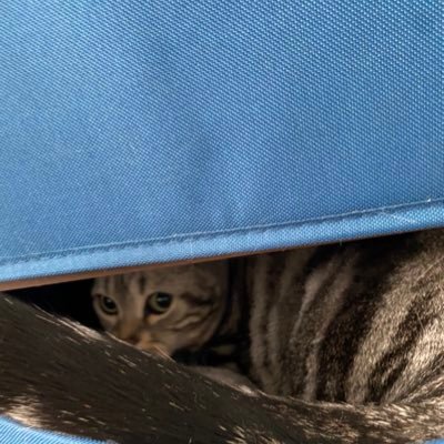 うつ病ナースの社会復帰channelさんのプロフィール画像