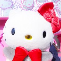 ゆぴ (@_kty111) 's Twitter Profile
