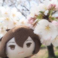 Merry (@sheep0206) 's Twitter Profile