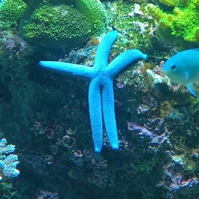 naro076's profile picture. 