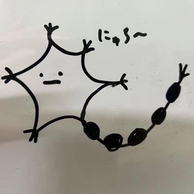 東大D2 神経と物理と機械学習とすみっコ