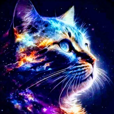 TRANSSHOPRESCUE's profile picture. Retired Rescuer of the Floof