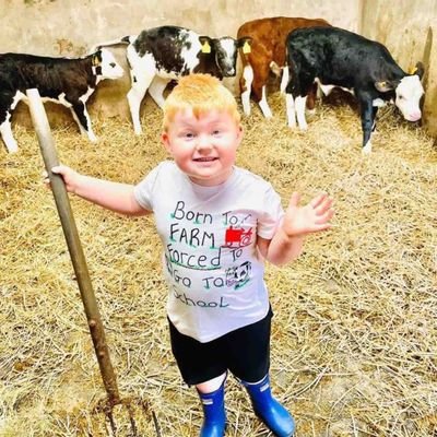 socialreforms98's profile picture. Finance & economic expert , open-minded .