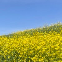 きの｜ひとり暮らし節約＆ダイエット (@otoku__point) Twitter profile photo