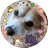 GameRmotColet's profile image