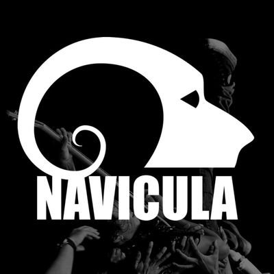 naviculamusic Profile Picture