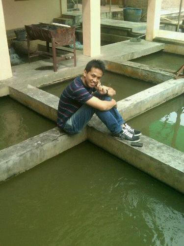 TogarSuta's profile picture. 