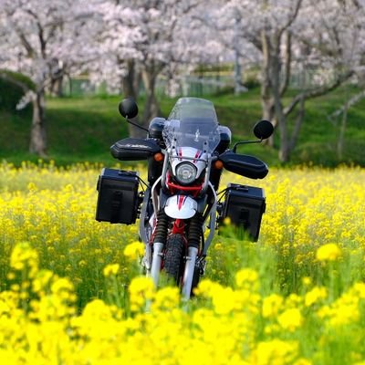 夫婦でライダー
V-Strom650XT(2017)
セロー250ファイナルエディション
シビック(FL1 MT)
FUJIFILM X-H2 & X-H2S & X-E4
RICOH GR III
主にバイク、カメラ、車のことをつぶやくアカウントとなっております