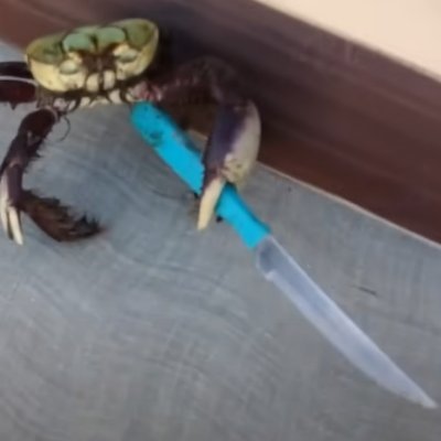 Crabwifknife @SOL