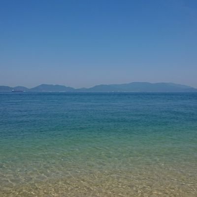 sh_gsx25_ota's profile picture. つかいません