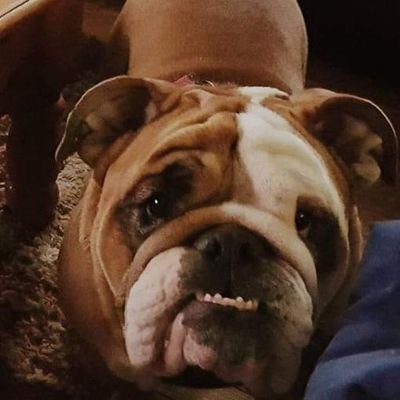 Jake Ryne Profile
