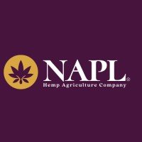 Niche Agriculture & Pharmaceuticals Limited (NAPL) with experience of more than 20 years in organic farming and advanced technologies, plans to diversify its bu