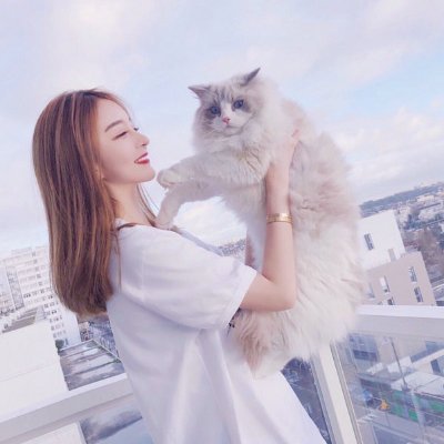 SinisaVrankovic's profile picture. 