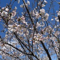 waka (@waka_8686) 's Twitter Profile