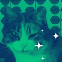 *•.¸♡ 🐈 ♡¸.•*(@song_for_a_cat) 's Twitter Profile Photo