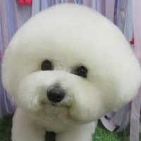 ใใใกใใ (@kako20191019) 's Twitter Profile Photo ใใใกใใ (@kako20191019) 's Twitter Profile Photo