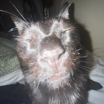 asamlaksa77's profile picture. Please jangan follow