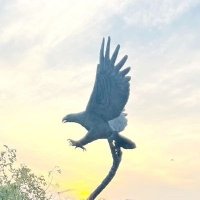mahipalsingh Rathore borta (@mahipalborta) 's Twitter Profile Photo